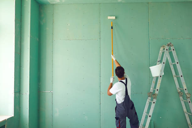 Best Mold Documentation for Insurance Claims  in Holt, AL