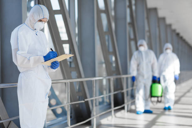 Best Real Estate Mold Inspection  in Holt, AL