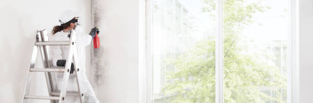 Best Dehumidification Services  in Holt, AL