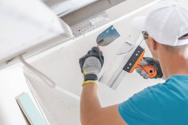 Reliable Holt, AL Mold Removal Solutions
